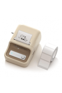 Mini Printer B21